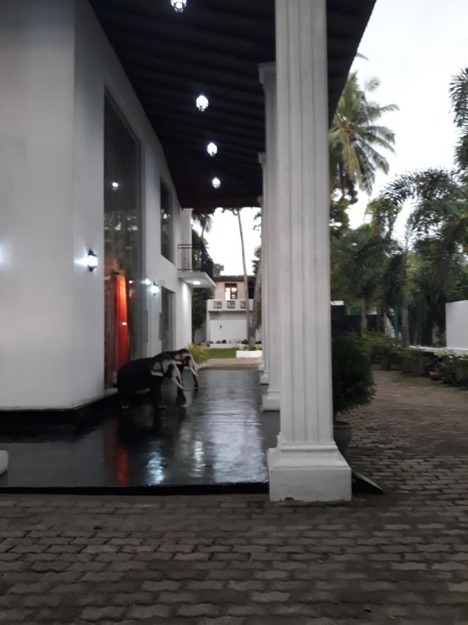 The Kingston Hotel Kiribathgoda Exterior foto